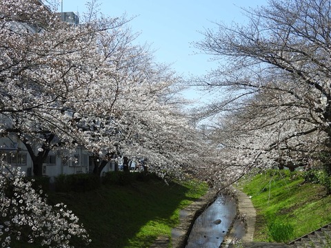 57966E69-D6B2-4D7F-BFE4-ACAAE4E157A0