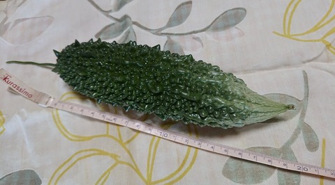 AB3FC243-DFED-453E-9FD3-FA6A55AC9B76