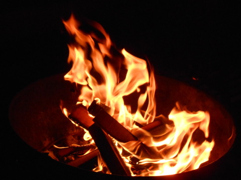 E571AC6C-3FF9-432E-B62D-1B4B3360FEB0