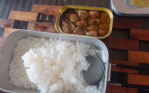 774B9E67-CEBD-433A-98C1-236E8E86F9D7