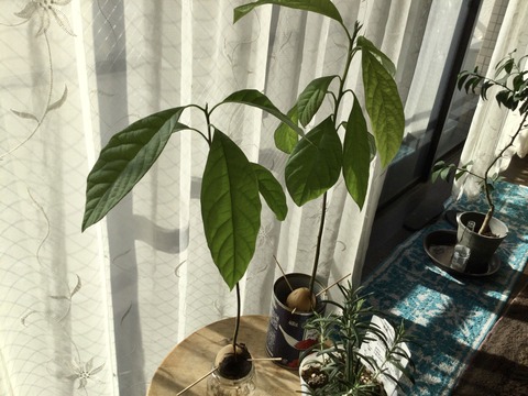 5401723D-08DA-4287-B18C-255A7184D2D4