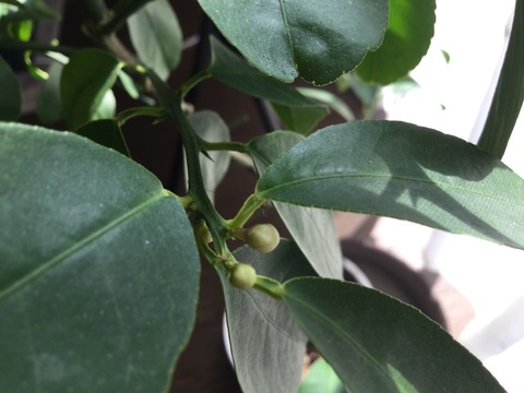 EEB6452A-824A-40DE-B94E-A9BBD187303A