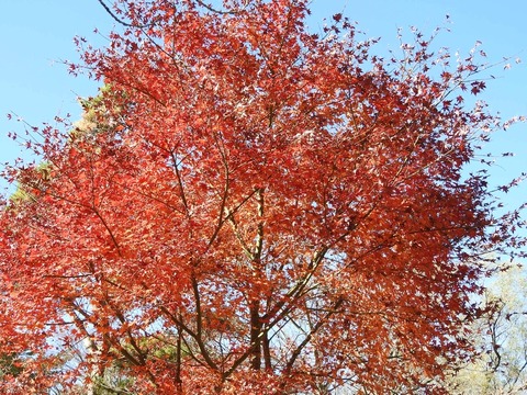 E68F515E-728D-46BC-AFFB-364427EE4AD8