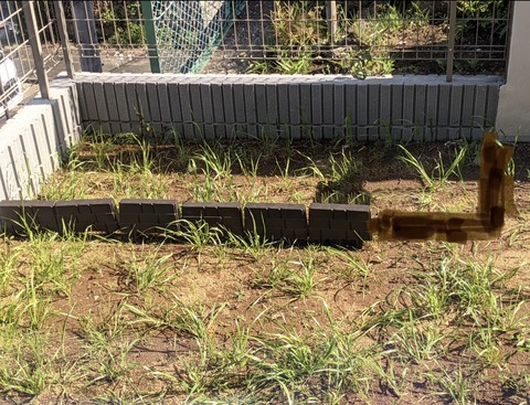 87AE6C4D-A90F-4A90-B11A-7BF5613F96BF