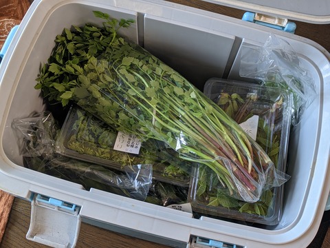 AC9DE2F2-D5D8-498C-90F3-71BF97287D98