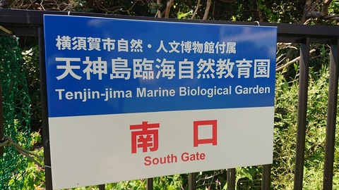 22512C16-106E-4EC9-9756-958968391B94