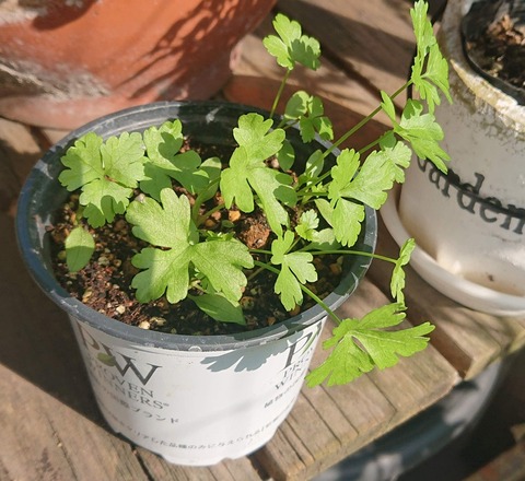 62A2E576-DF3F-42D4-BBE4-712F8341AB8A