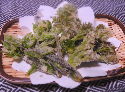 8E394DF0-5250-49EA-923F-9076AF9158DA