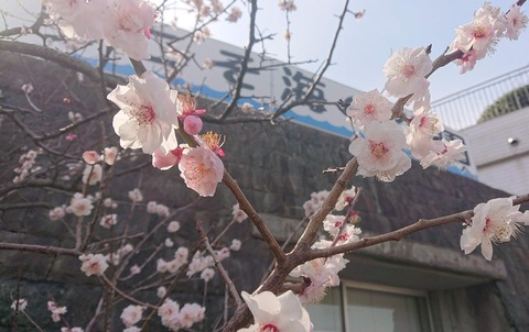 EFDF707D-02F6-4464-8CBD-6664E903DAA8