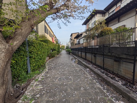 E3E318F7-80AF-418A-AAB1-E202039BE322