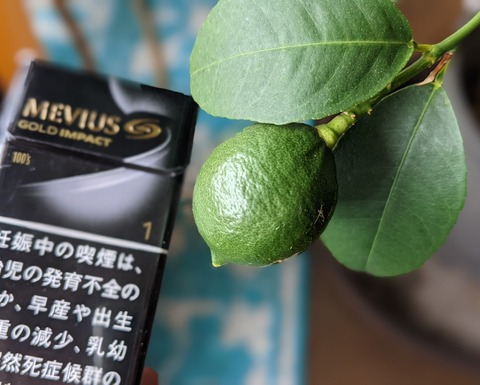 7C63AC47-86C7-4039-BA08-0A222A163042