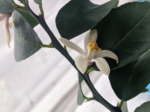 B7738535-2DFE-42F9-A3C3-A6A64591E311