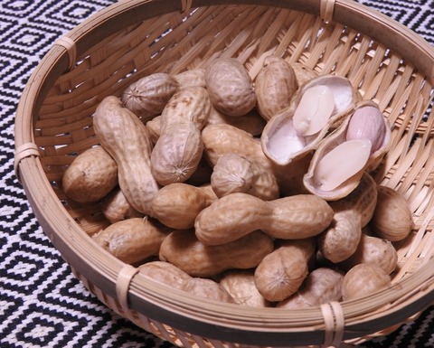 1E03431A-D4C5-4635-8A1E-86279BBBC95B