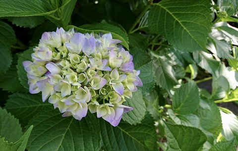 400C70B2-43B1-4298-BE19-243C55CF1E89