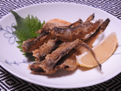 CAFE985D-C57F-4B67-A966-96BFCD7913A5