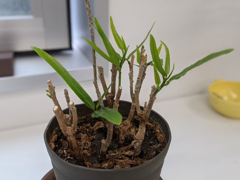 375A9893-2D35-4E89-ABD7-9FE564C65DD2