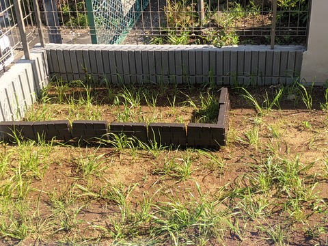 1D143162-CF3B-451C-A45D-93AE1FED5C22