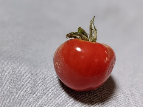 D27603C5-169B-472D-8B33-184FB3D26F8B