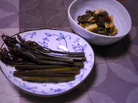 3FAC80C4-E257-4A58-98D7-F147401597B8