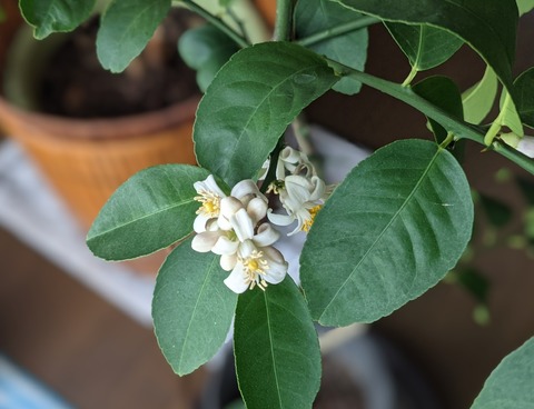 CC05BF59-107D-4437-91A2-33148C158BFE