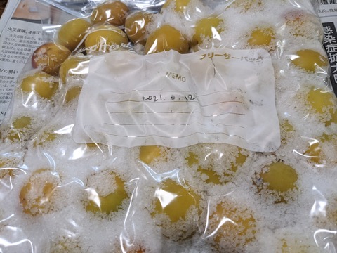 8A178189-DD7D-42E5-B9C4-4542A9DD927D