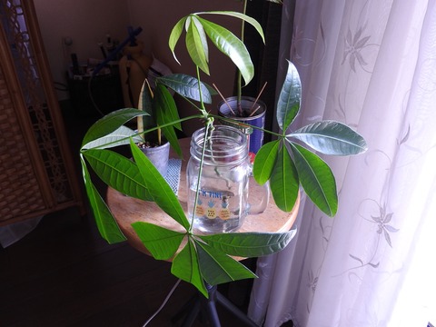 F2F50C6F-B3BD-41B3-82A9-10CCBFBF0F8F