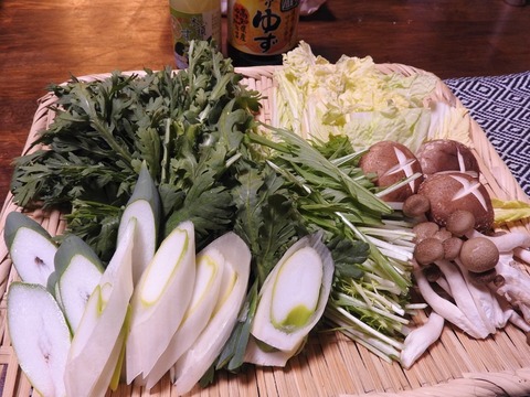 C7F8536E-E097-43AB-9AFB-638AAFD7E331