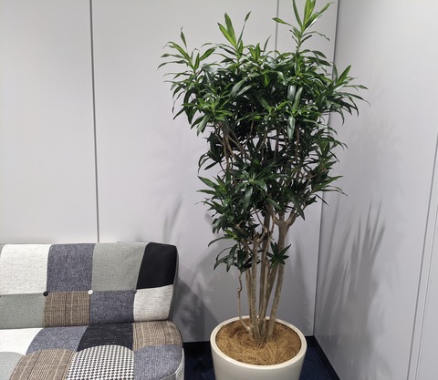 13B55B2E-1A52-41C8-A348-1AF52615596B