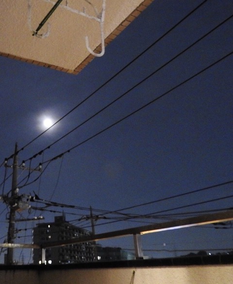 7E012FFE-B96E-4BCB-B567-8519D69286F6