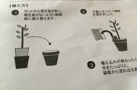 B36A538B-FAE7-453C-B5B0-16B6A7055A17