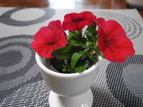 0EB136B0-4324-44C1-BEB2-E7299B8BF4C9