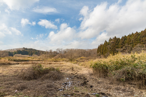 201712農地跡が見える湿地