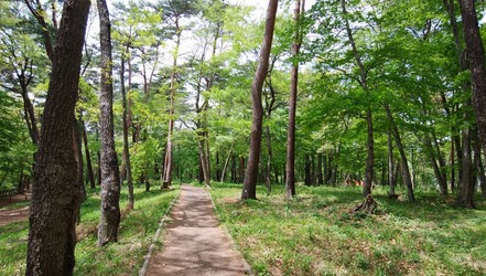 散策路