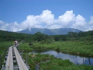 沼原湿原