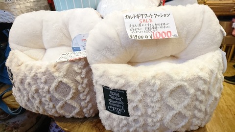 cushion