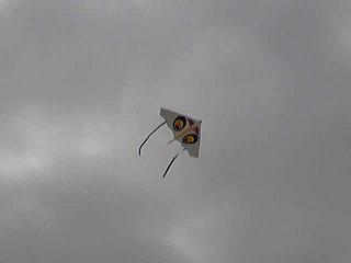 ゲイラカイト スカイスパイ を修理して飛行 104のblog