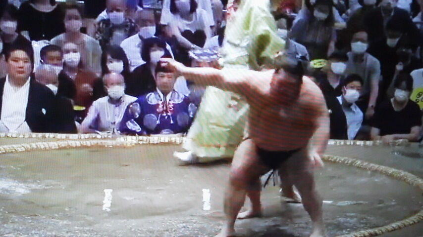 「僕のお相撲日記season6」大相撲秋場所8日目、7勝の力士が100%勝ち越した事実 お八百長丸出しの事実と照ノ富士の八百長