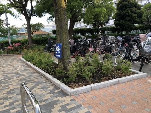 A97DC9FA-A9A9-435C-81DB-2DAD0D660615