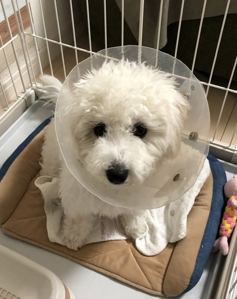 BE3E1D45-8D00-4EC5-B0E2-ED06A46C281D