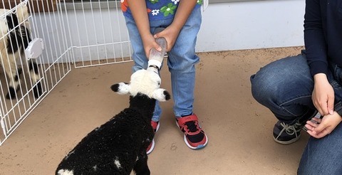 11C75B66-AD7E-4B0E-8466-7075EB11257F