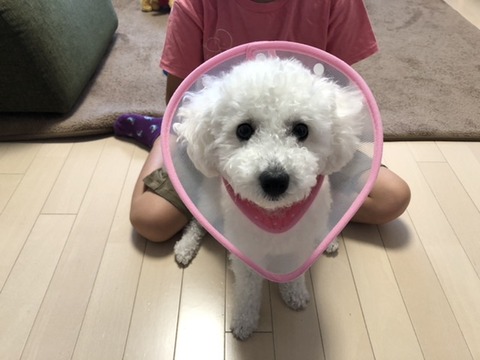 449436A4-78DB-47E6-8108-ECCFBC965E32