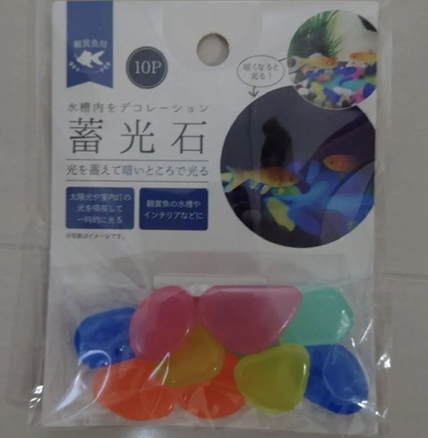 F6B4788A-AB8A-4CBC-8B52-4392EE52B83D