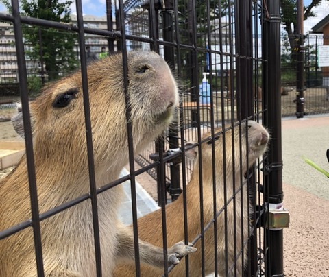 AEEB8D1E-17C7-4E01-863E-8680CF3A2605