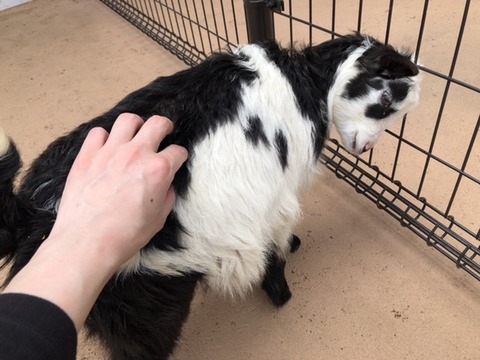 9808CB25-78CD-4D14-B222-EBABE14E6B24