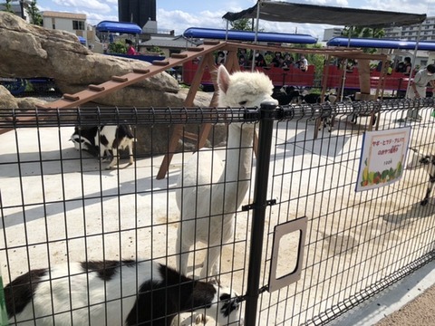 7491BBD1-03D3-4308-9524-FB8496D4BBBF