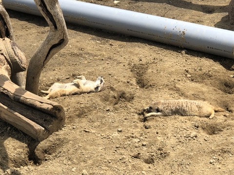 4F273378-2323-47D8-982C-041D8CB526AC