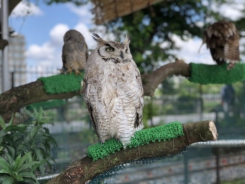 B204E28F-D16A-4AAD-9DFC-620420D2DCCD