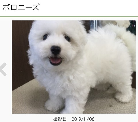 533A0E61-6384-4CF6-B42F-418EF0884D4A