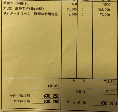 8015D8D3-048D-4223-BC7A-9C4A09B8D866