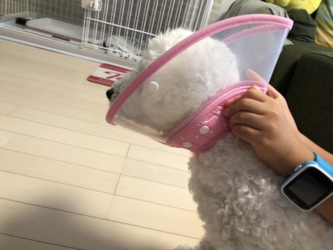 3197E641-5883-4531-865D-C5CF6F316B32